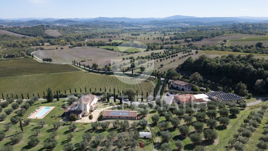 Under the Tuscan Sun