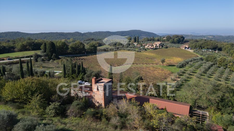 Podere Albedo