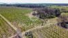 Bilder/Galerie Außenbereich des Grundstücks Podere Il Vigneto