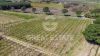 Bilder/Galerie Außenbereich des Grundstücks Podere Il Vigneto