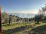 Gallery Details | Views of the property Villa delle Belle Masse