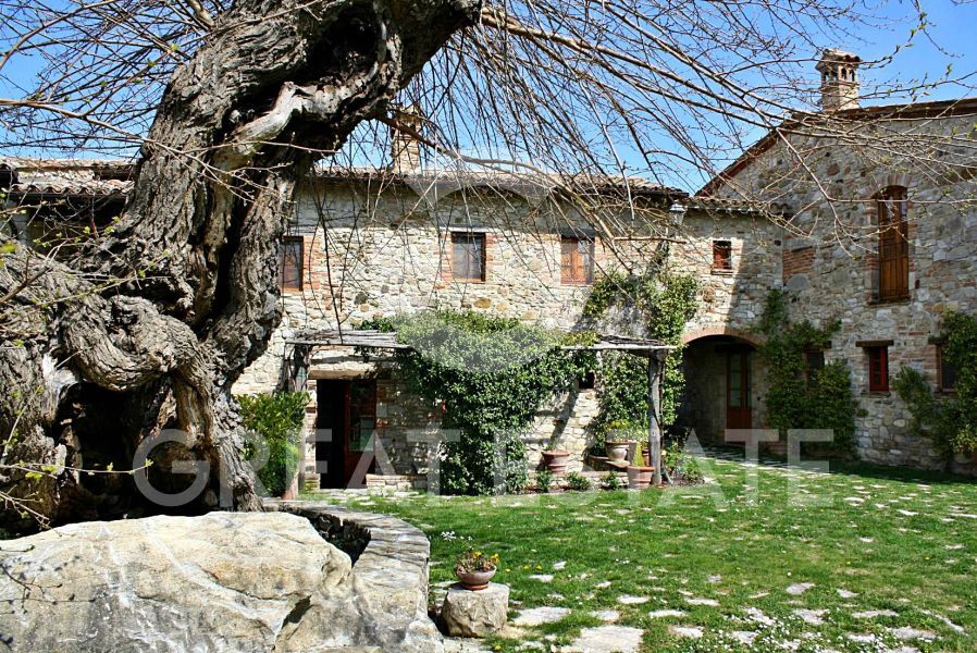GELSOMINO