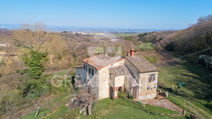 PODERE ALBINO