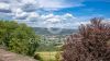 Foto Particolari | Panorami della proprietà Proprietà del Campolongo