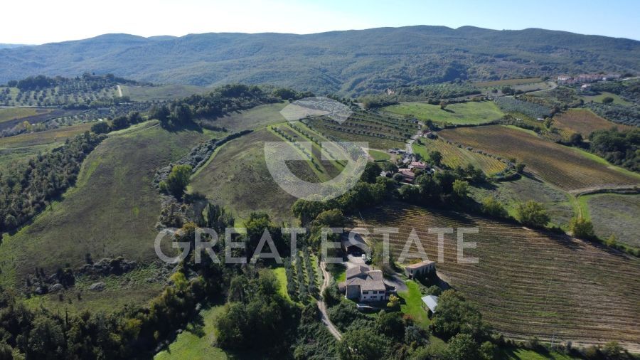 Tenuta Agricola Colle degli Etruschi