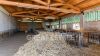 Foto interno della proprietà Azienda Agricola Altolina