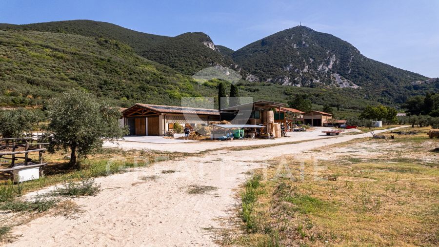 Azienda Agricola Altolina