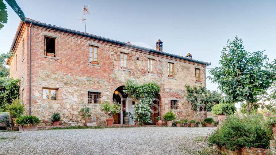 PODERE DELLA PIEVE
