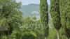 Foto Particolari | Panorami della proprietà La Torretta Del Sole