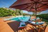 Bilder/Galerie 1 Außenbereich des Grundstücks Villa Olivia