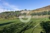 Bilder/Galerie 14 Außenbereich des Grundstücks Villa Olivia