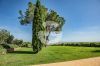 Bilder/Galerie 10 Außenbereich des Grundstücks Villa Olivia